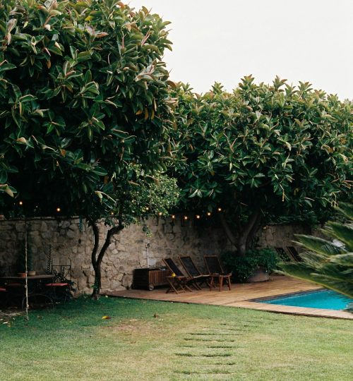 pexels alinaskazka 19293777