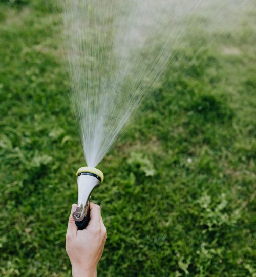 pexels karola g 4870801